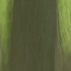 Louise Dudis, Painted Tree 4843, 2010